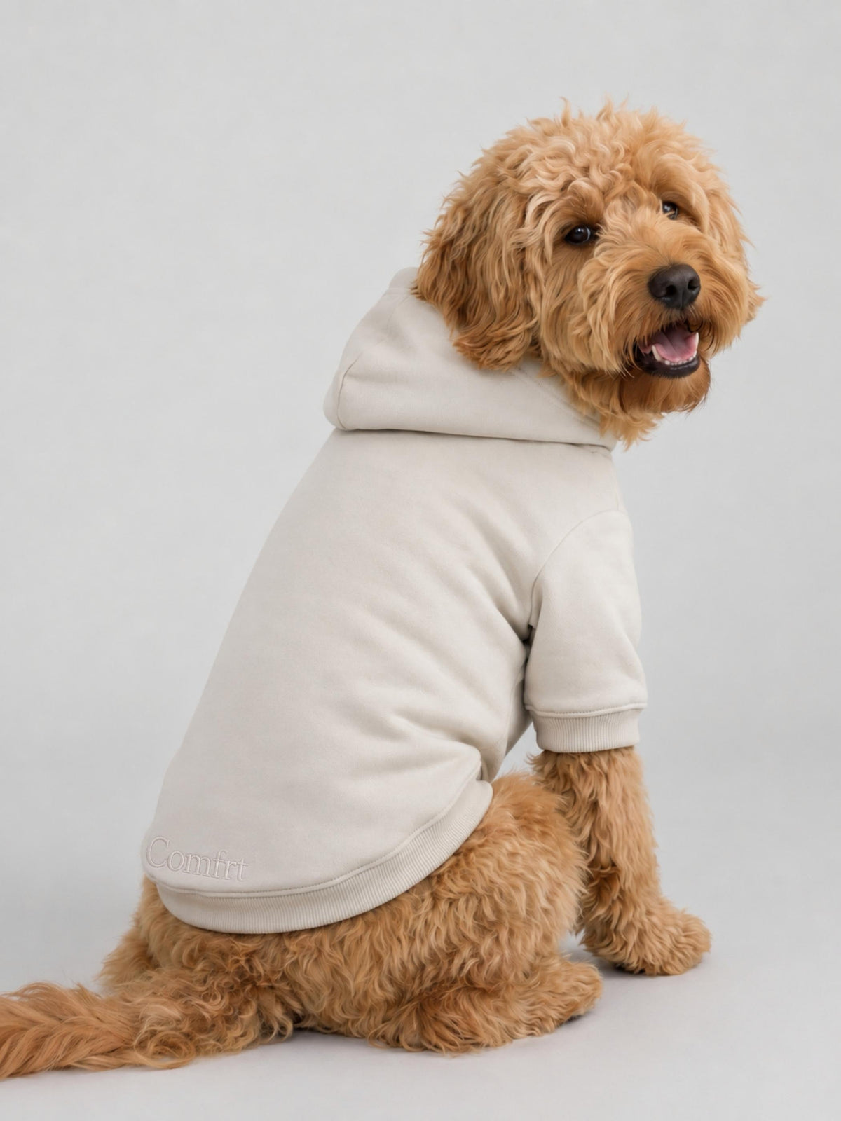 Minimalist Paw Hoodie