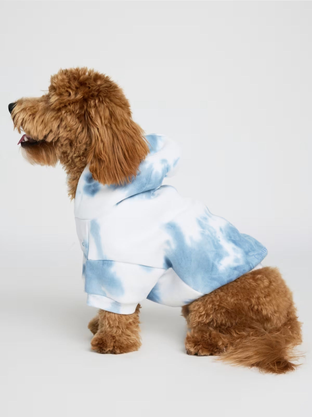 Minimalist Paw Hoodie