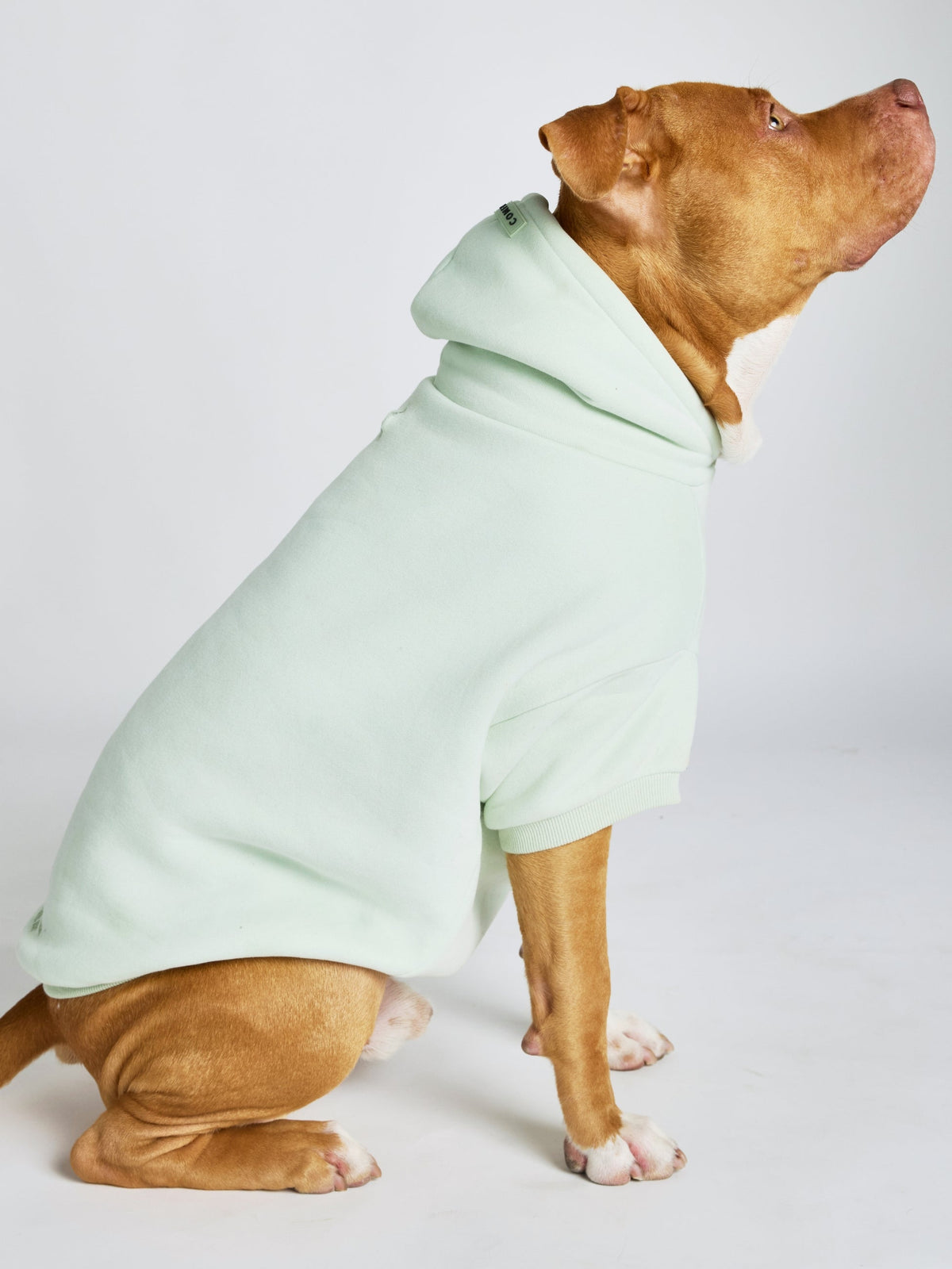 Pastel Paw Hoodie