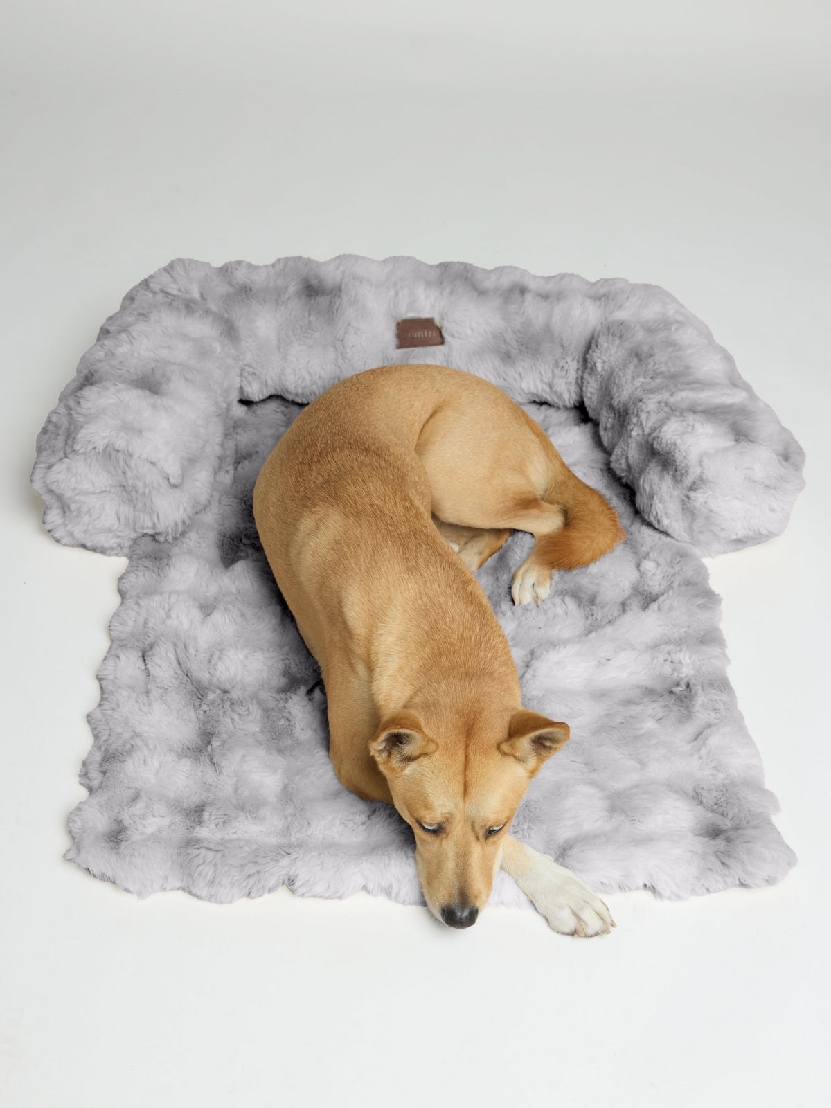 Dream Cloud Pet Sofa Bed