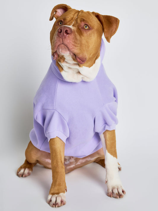 Pastel Paw Hoodie