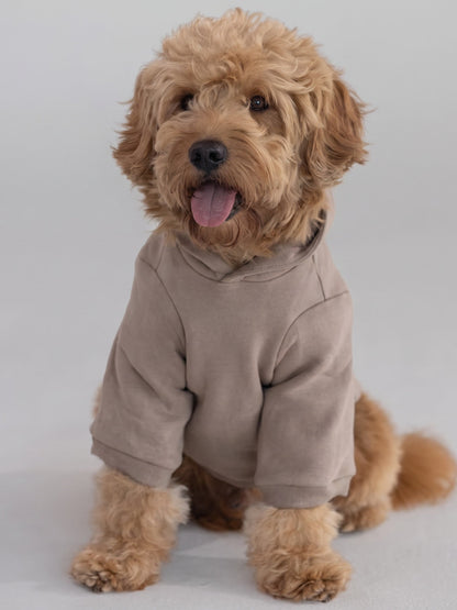 Tranquil Paw Hoodie