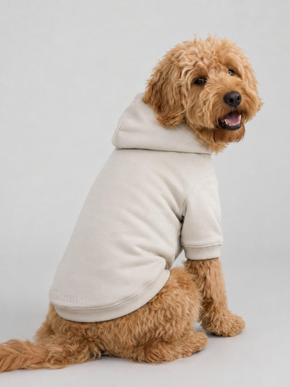 Minimalist Paw Hoodie