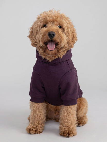 Minimalist Paw Hoodie