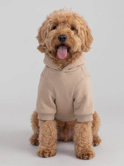 Minimalist Paw Hoodie