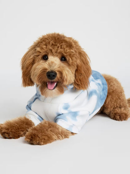 Minimalist Paw Hoodie