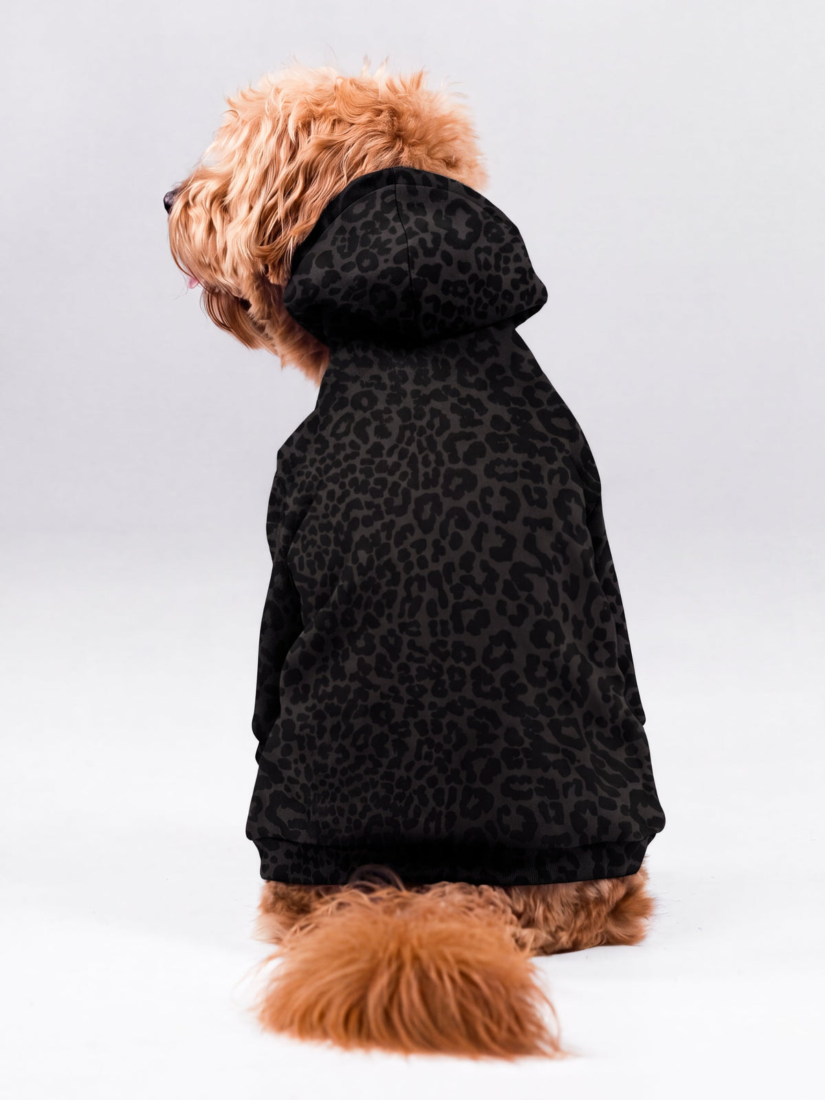 Signature Paw Hoodie