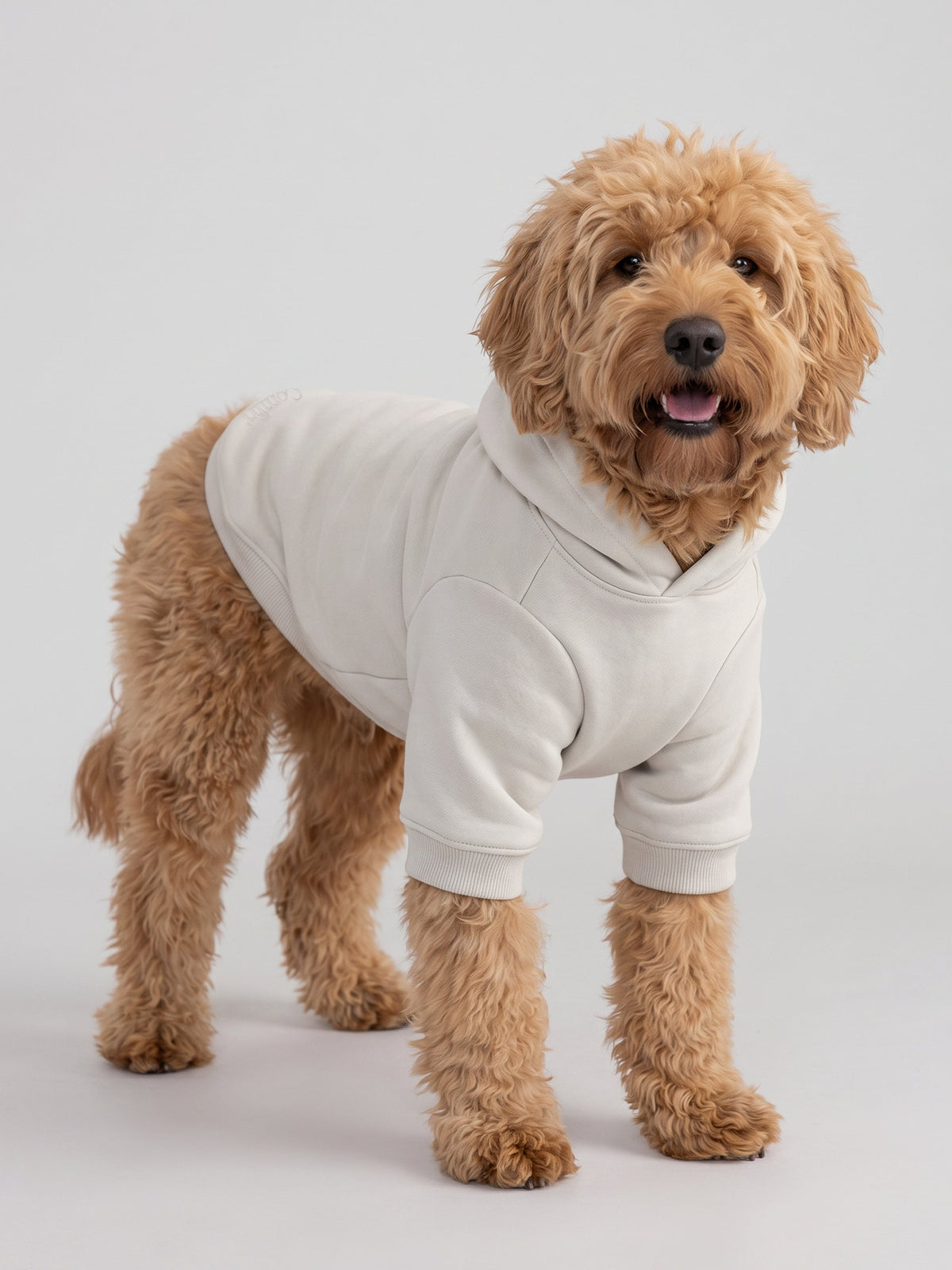 Minimalist Paw Hoodie