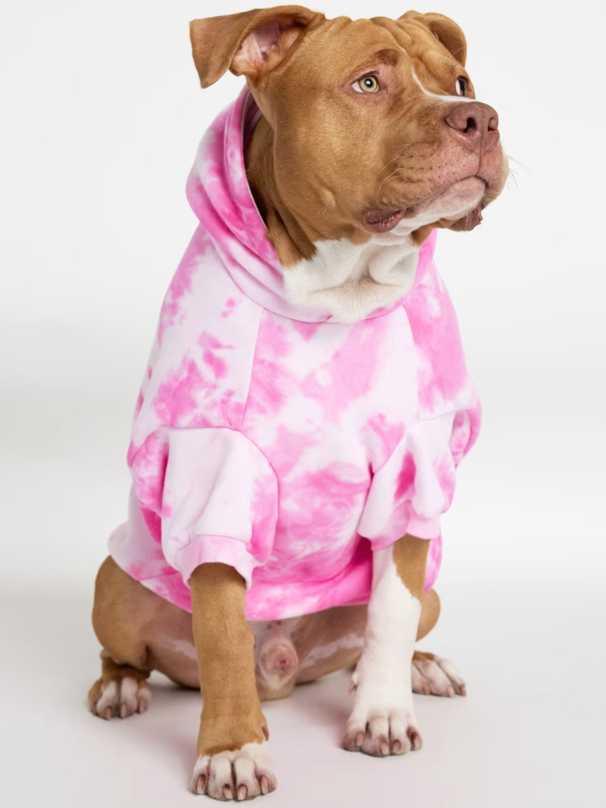 Minimalist Paw Hoodie