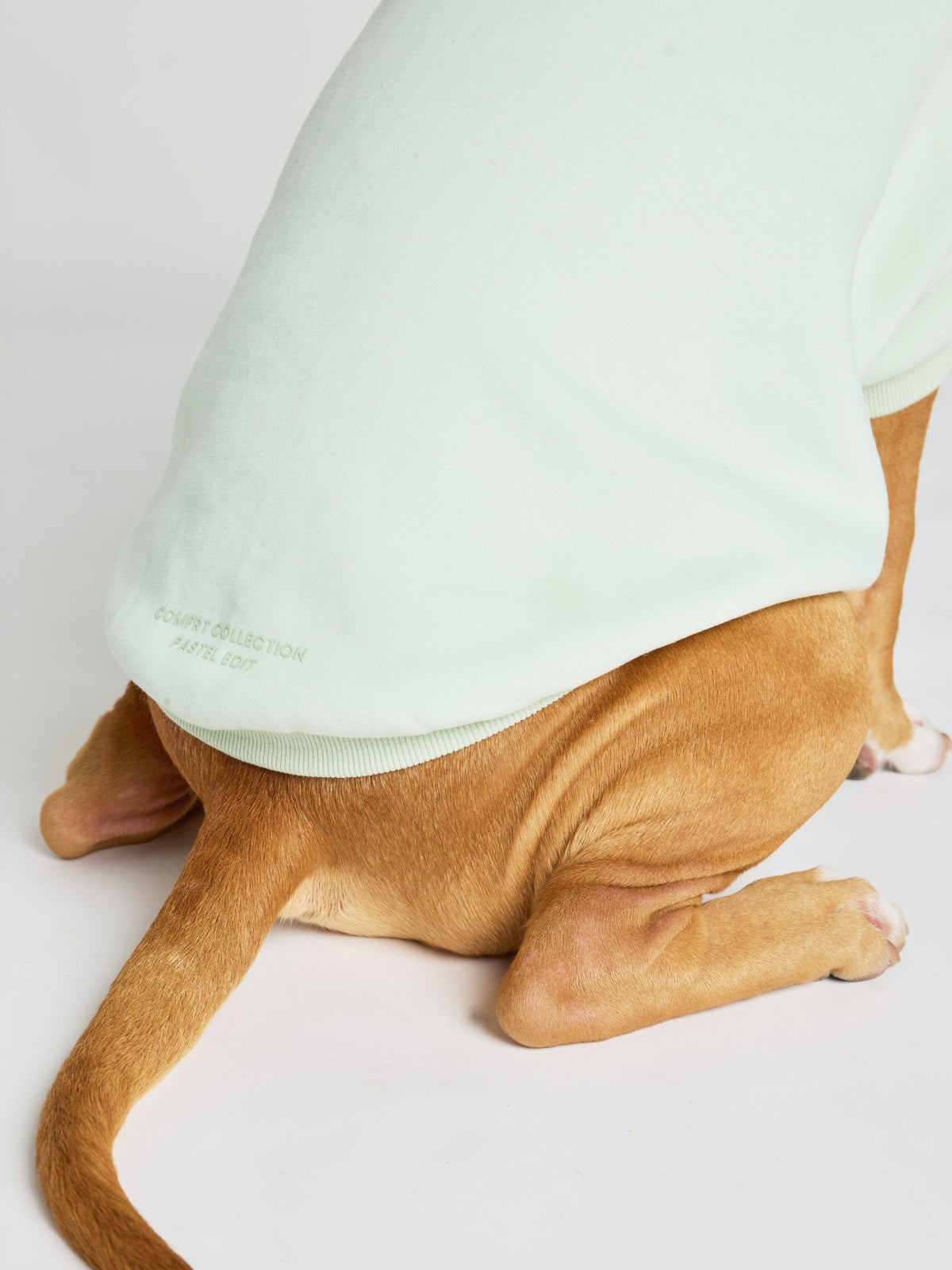 Pastel Paw Hoodie