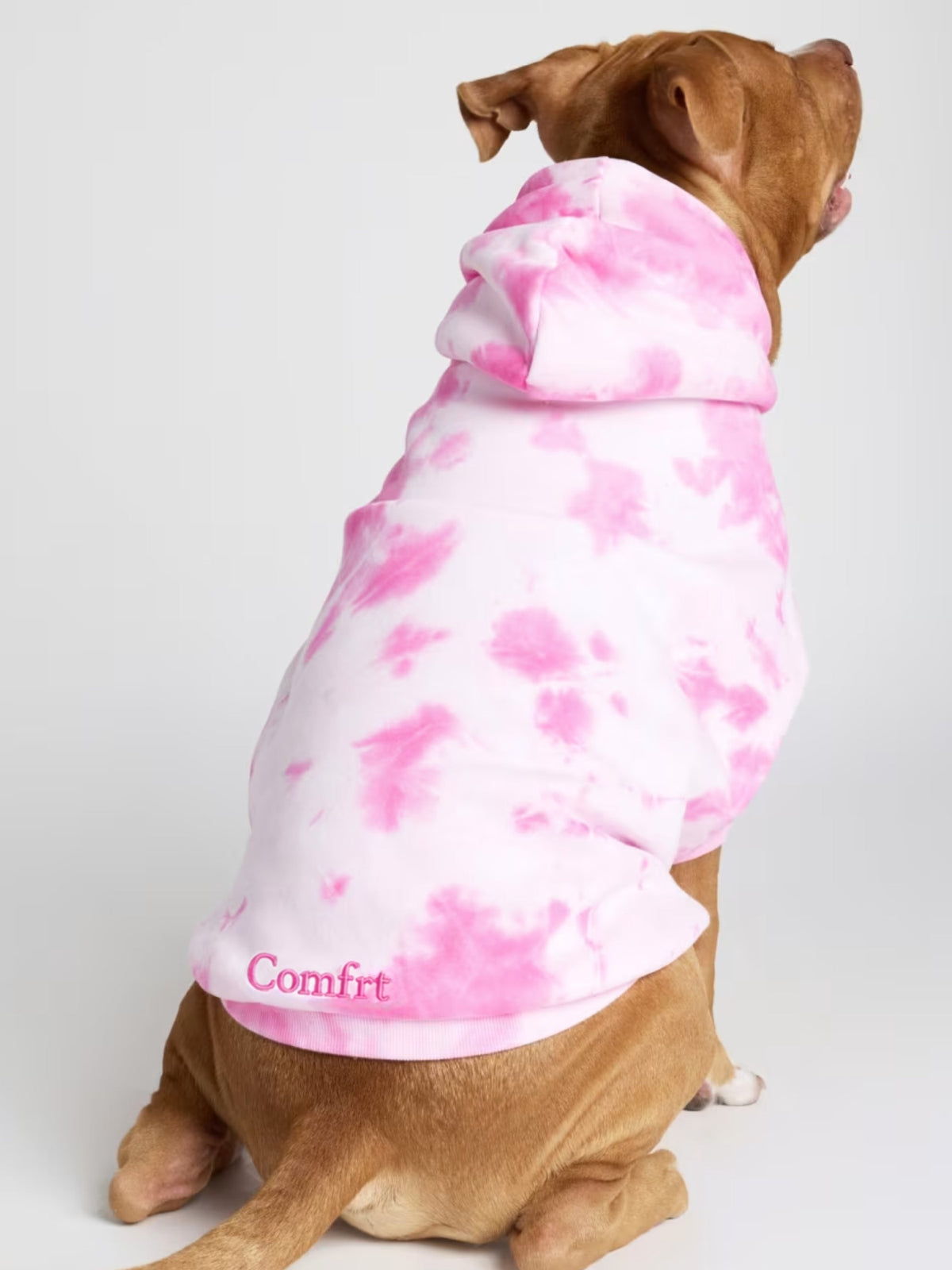Minimalist Paw Hoodie