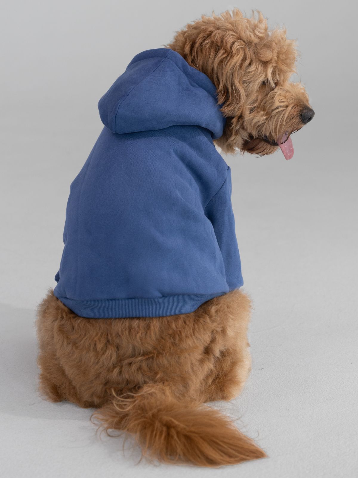 Standard Paw Hoodie